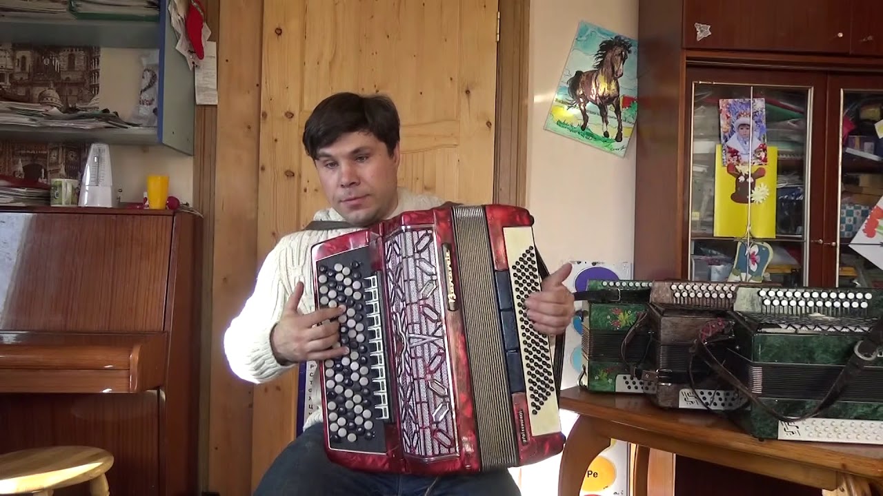 Баян немецкий 