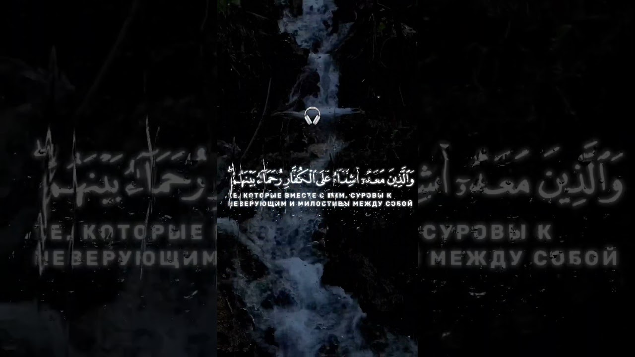 Чтец- Мухаммад аль Люхайдан #напоминание #quran #karim #muslim