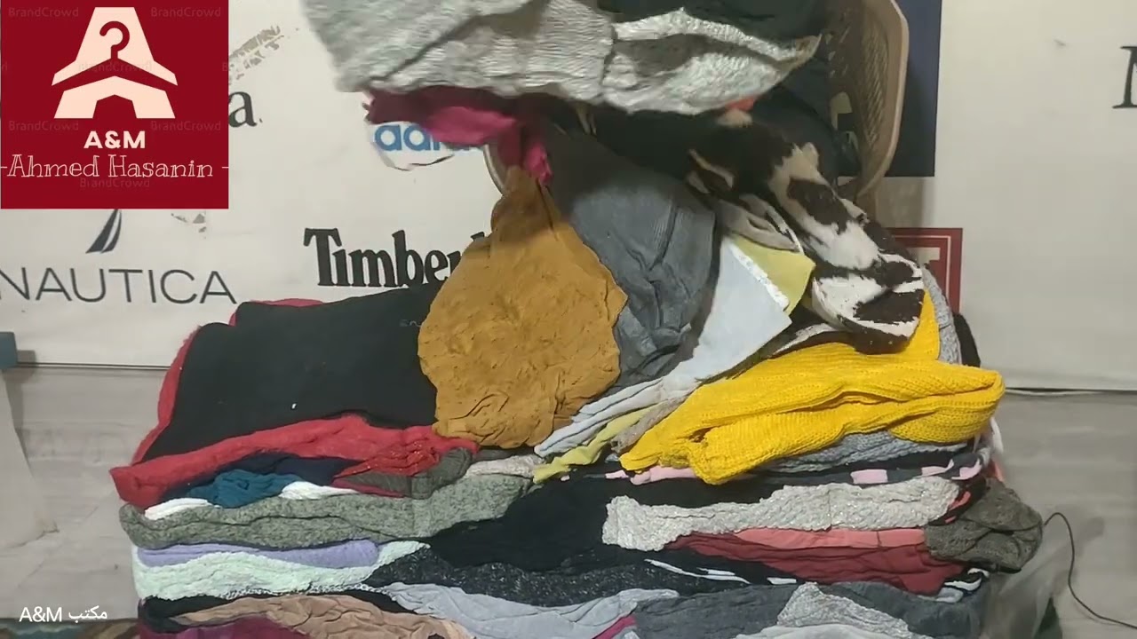 فتح باله كنزة حريمي بلجيكي