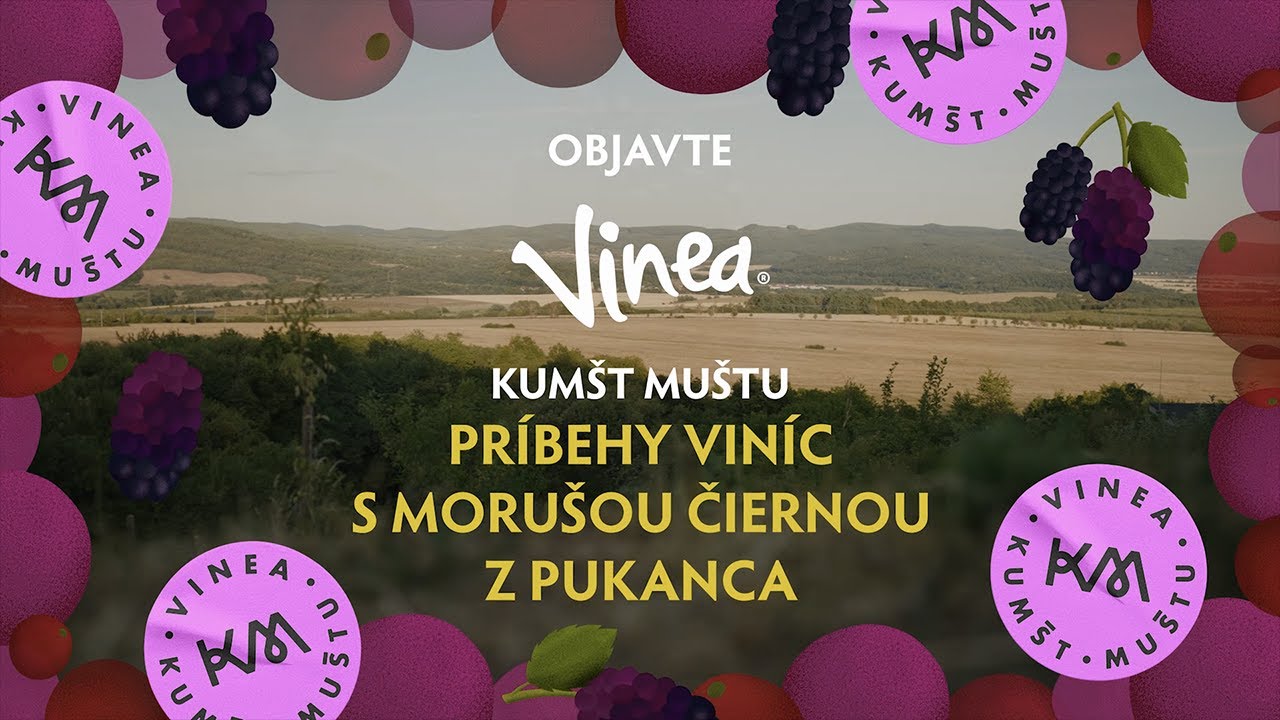 Vinea Kumšt Muštu príbehy viníc s morušou čiernou z Pukanca