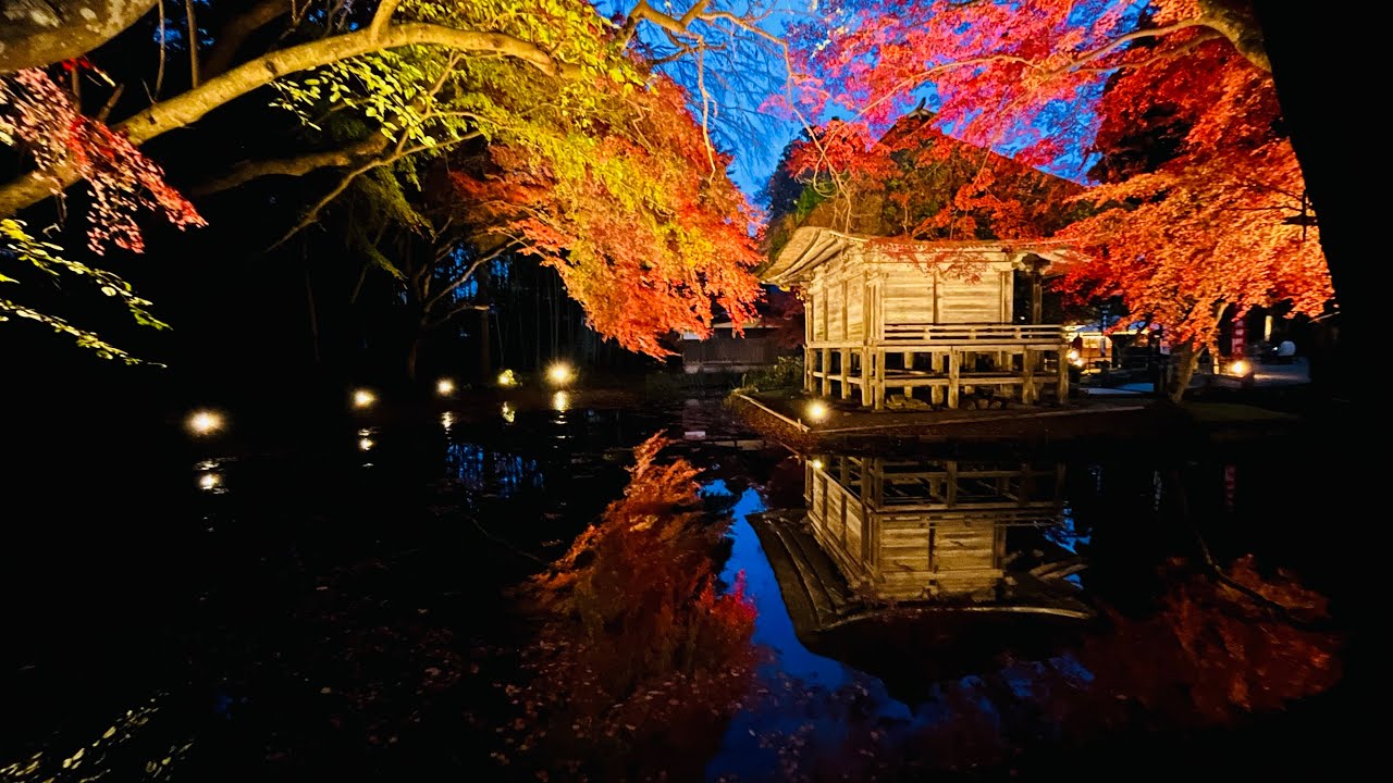 紅葉の🍁平泉・毛越寺・中尊寺ライトアップ　2025年11月8日