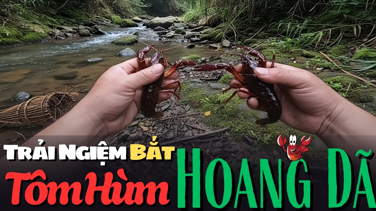 Bắt Tôm Hùm Nơi Hoang Dã - Trải Nghiệm Đi Săn Bắt Hái Lượm Nơi Hoang Dã!