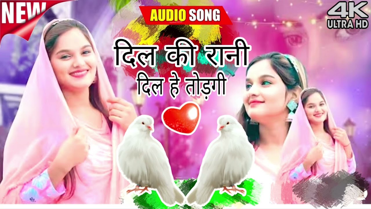 दिल की रानी दिल तोड़ेगी! Akbar Singer Mewati ।। New Mewati Song ।। #song 