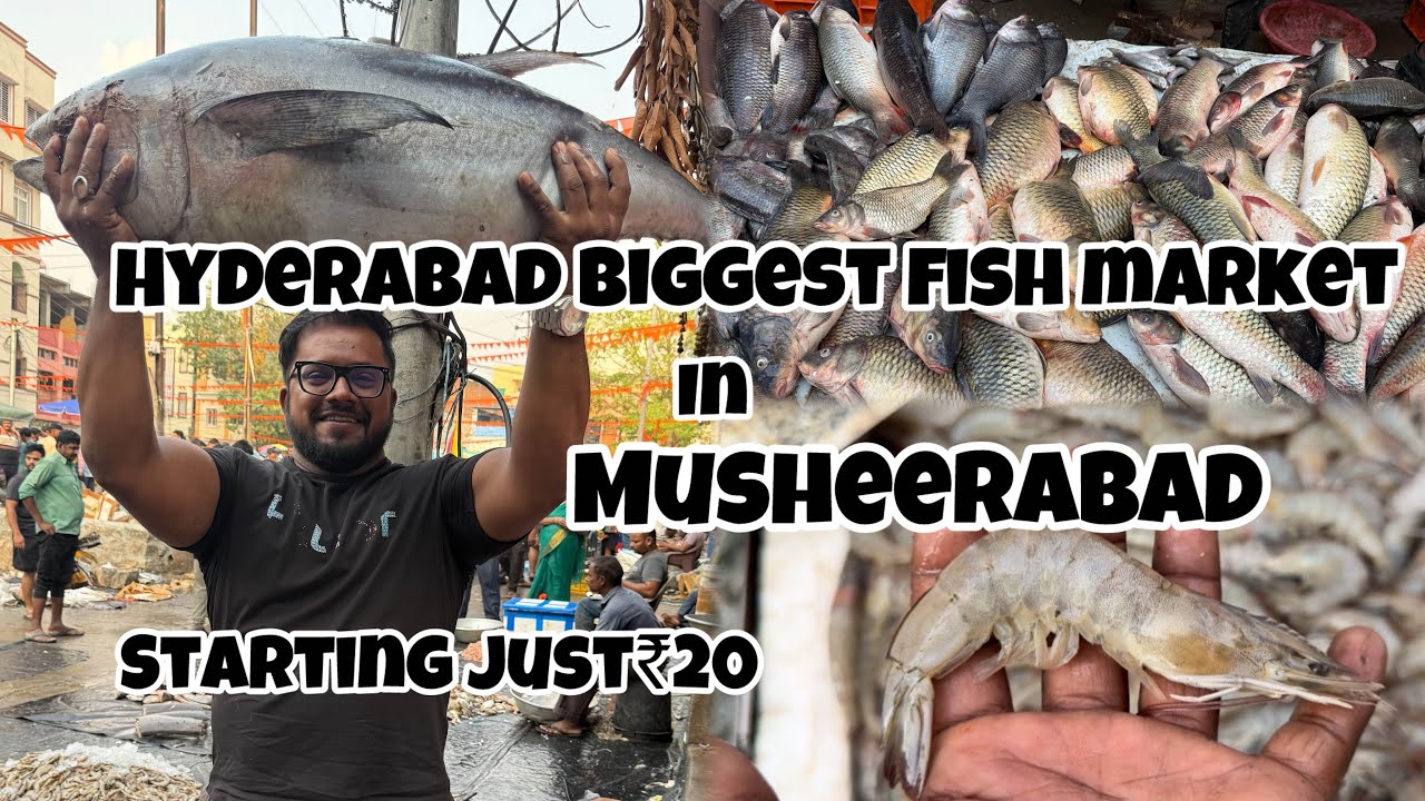 The biggest 🔥fish 🐠🐠market in Hyderabad 😎and musheerabad starting just 20 RS KIRRAK MARKET MNAVLOGS