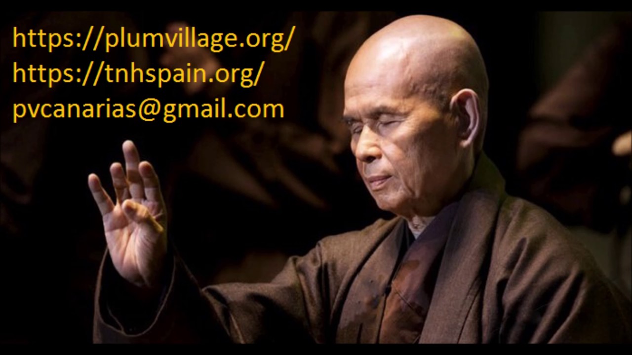 Cómo perdonarse: Thich Nhat Hanh. Tuve la gran suerte de preguntarlo directamente a Thay