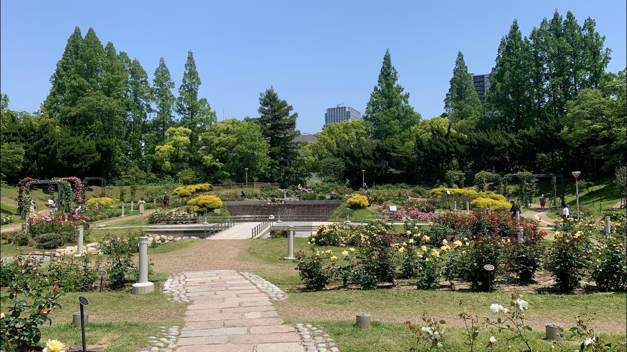Rose Festa at Utsubo Park（靱公園バラ祭り）