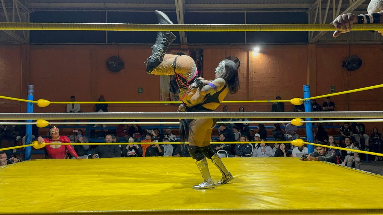 Gatubela vs Lady Pink vs Dehyna
