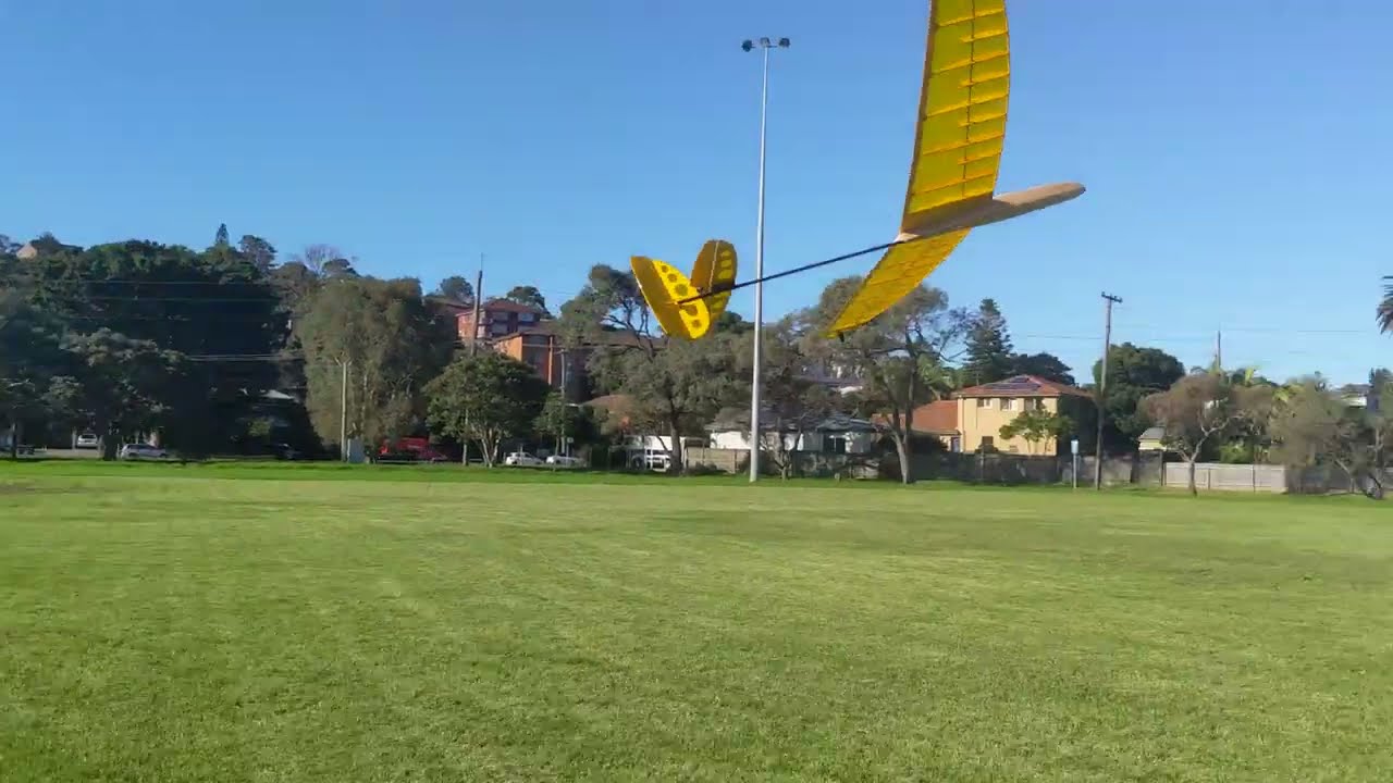 the lightning bug (sort of)