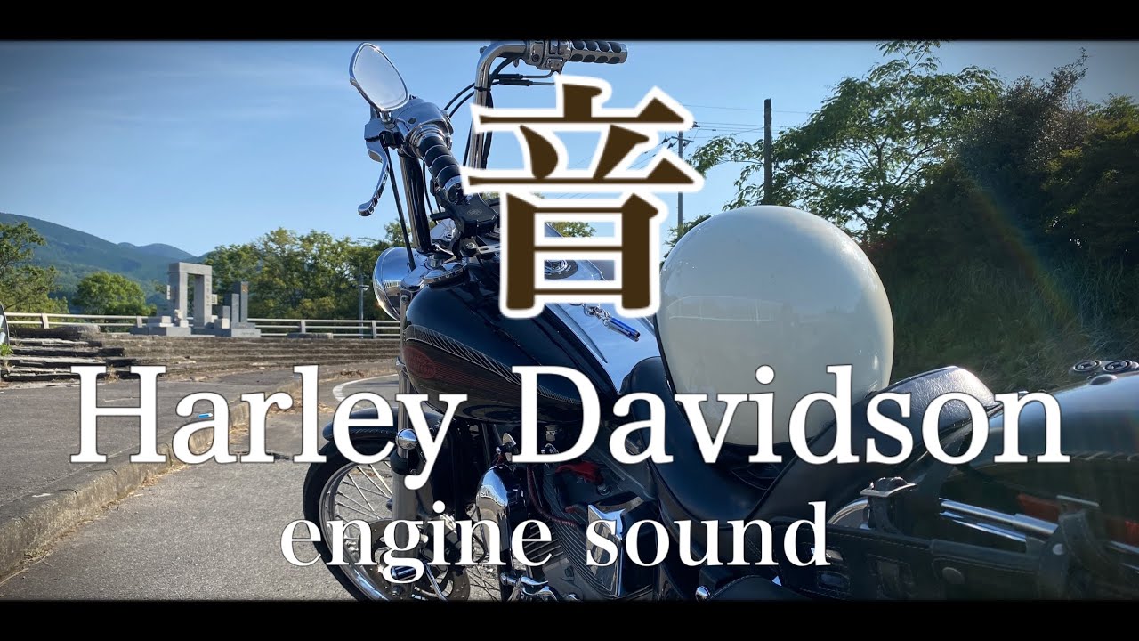 【harleydavidson engine sound】ハーレーダビッドソンのエンジン音