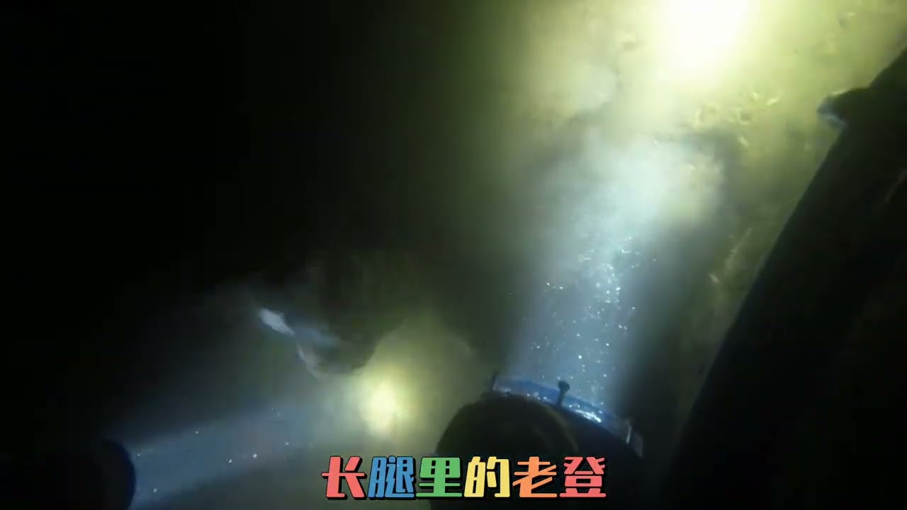 #感谢大海的馈赠#野生海参#滋补佳品#天然无公害  涅槃的潜水日记第253—254潜