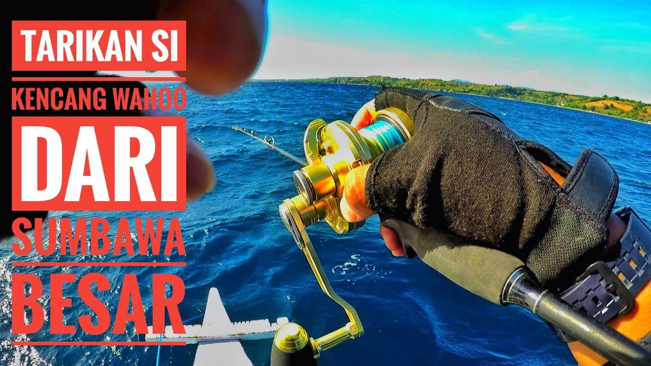 REEL OH POSEIDON 50SL MENJERIT DIHAJAR WAHOO TENGGIRI DARI SUMBAWA!!!