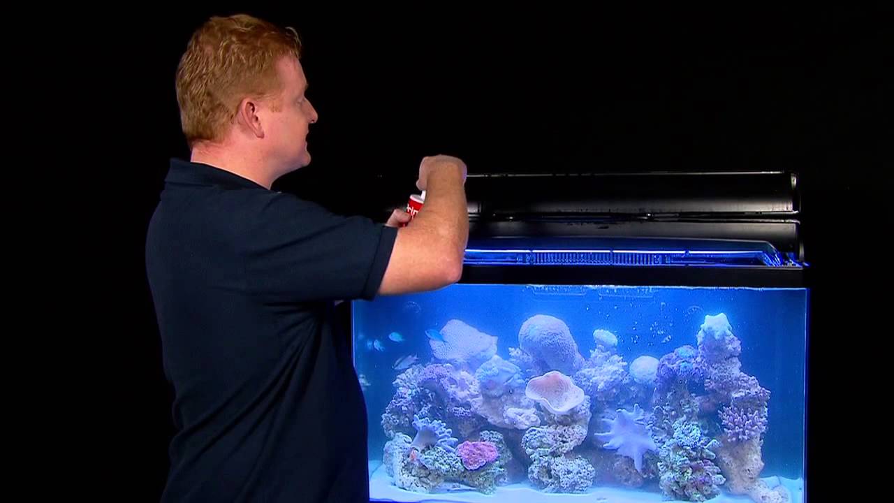 How to save your tank with SEACHEM PRIME - Fish Tails with Paul Talbot