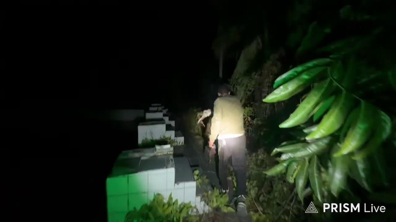 Siaran langsung jelangskuy