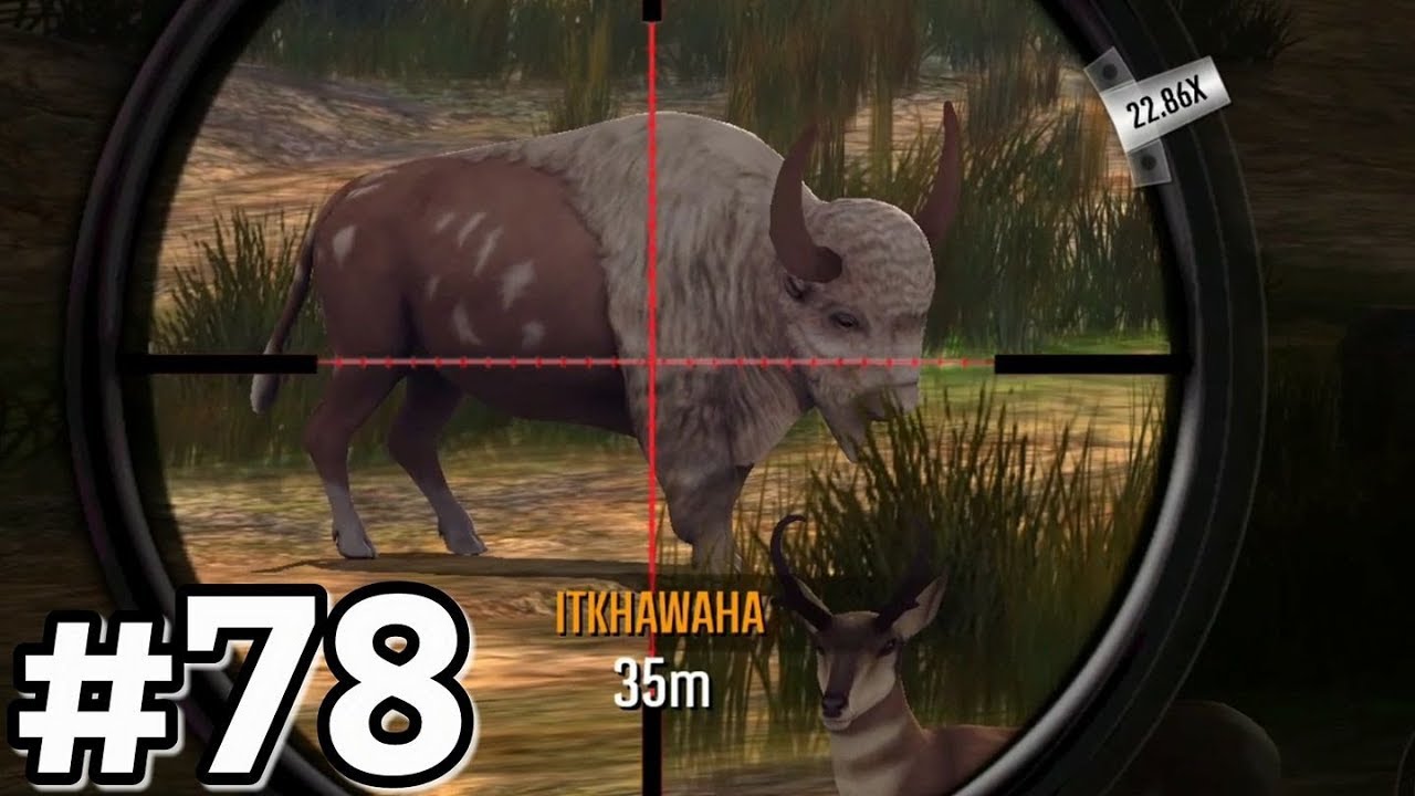 End Of Region 29 Oregon! Deer Hunter 2017 Ep78