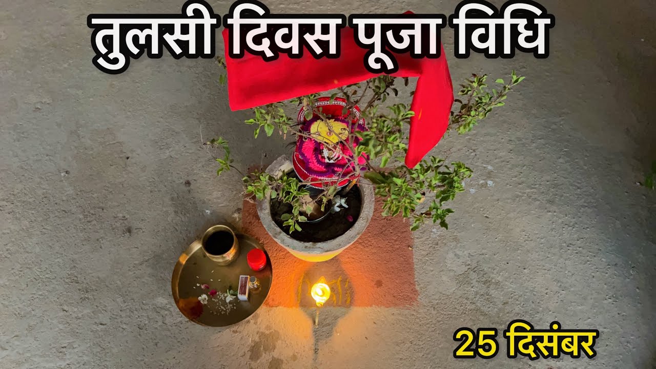 25 December Tulsi Divas Puja Vidhi | Tulsi Puja Kaise Karen Ghar Par 