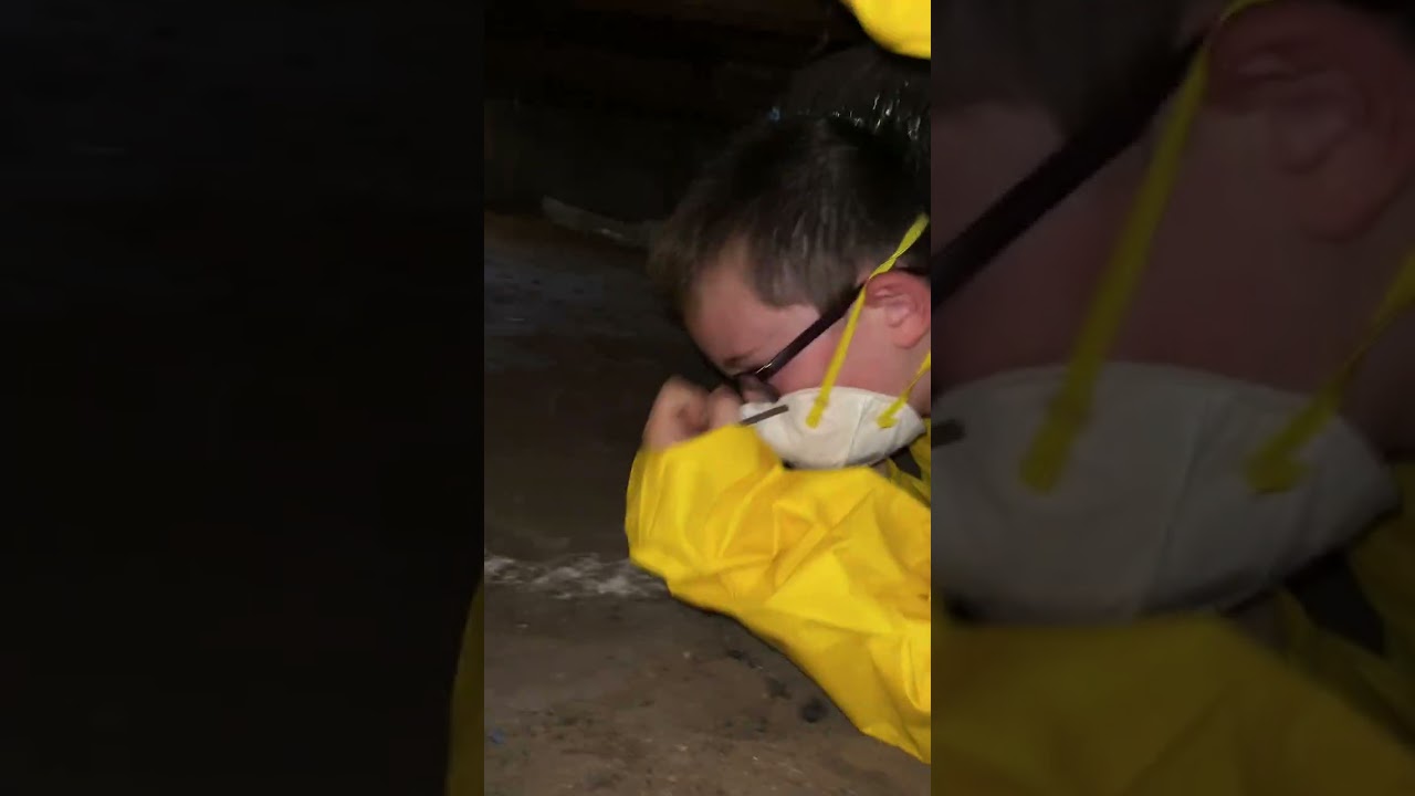@NLLegacyOfficial Father and Son HVAC work 9year’s old workin under house😂#fatherson #hvac #myson 