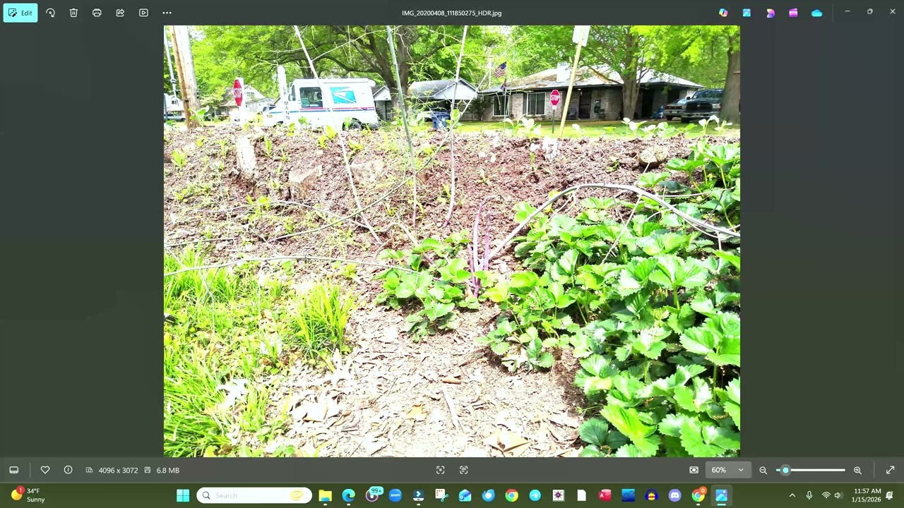 Eatable Landscaping competition?