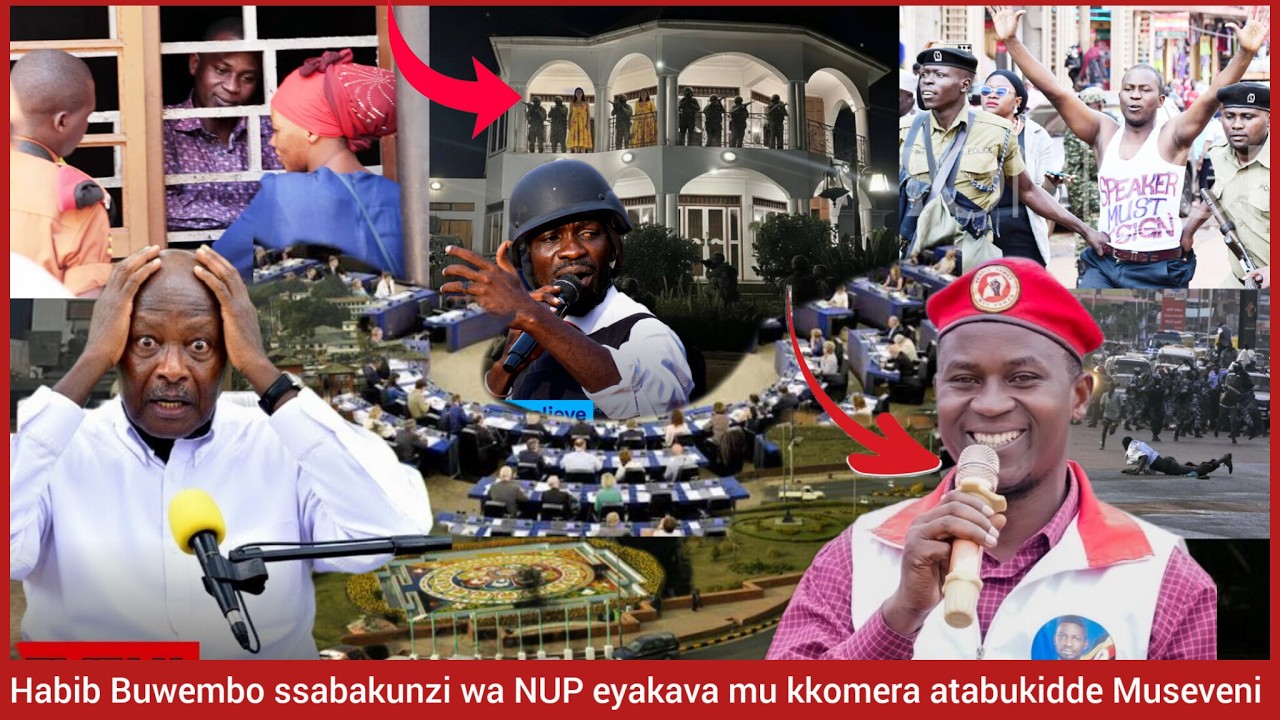 LIVE: Breaking News! Ssabakunzi wa NUP Habib Buwembo atabukidde Museveni ku Bobi Wine