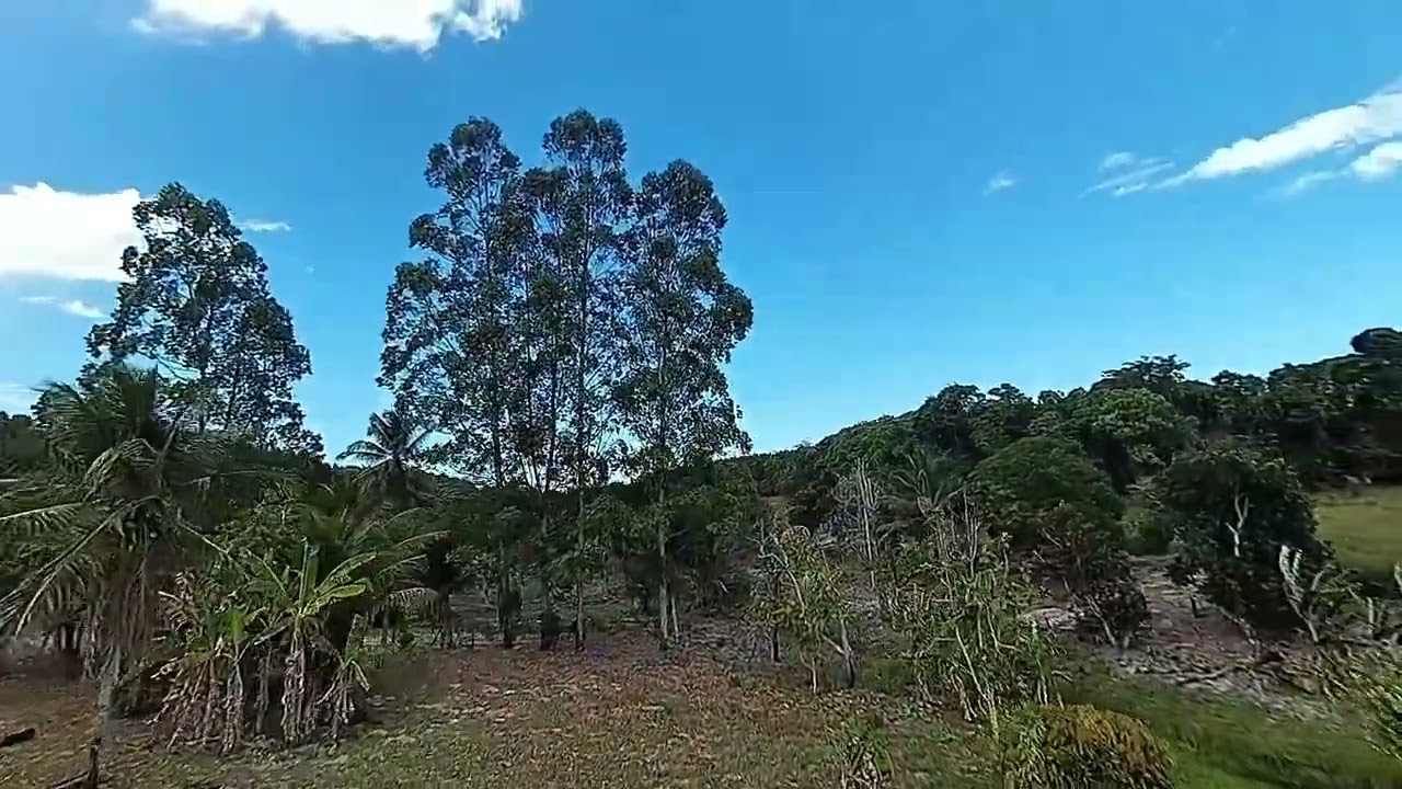 WALKSNAIL avatar HD mini 1s lite é só alegria e palito de dente 3 pura diversão 