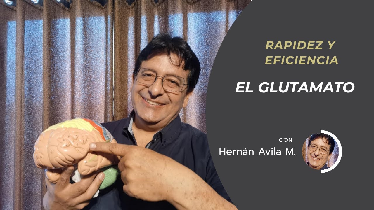 Glutamato neurotransmisor excitador