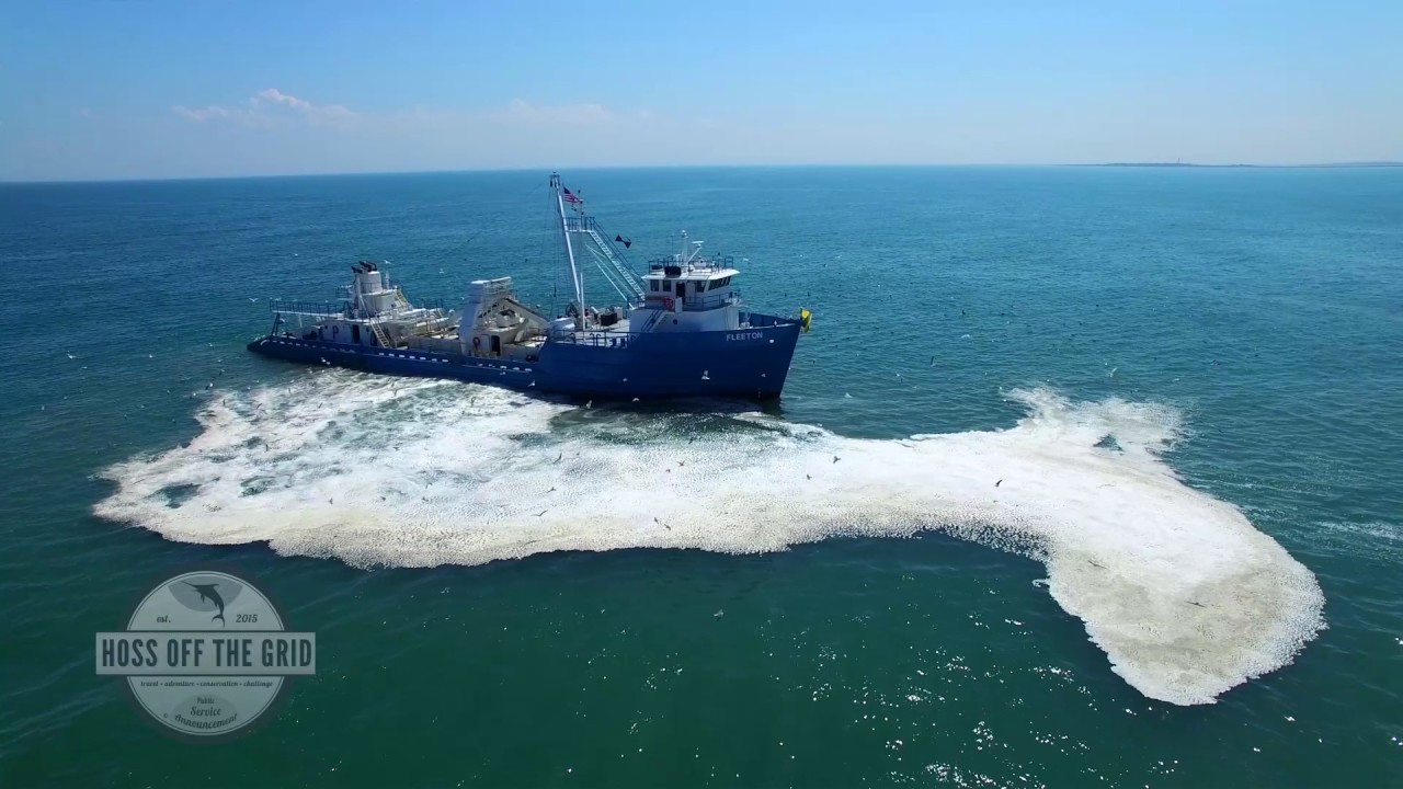 Virginia Beach Menhaden PSA