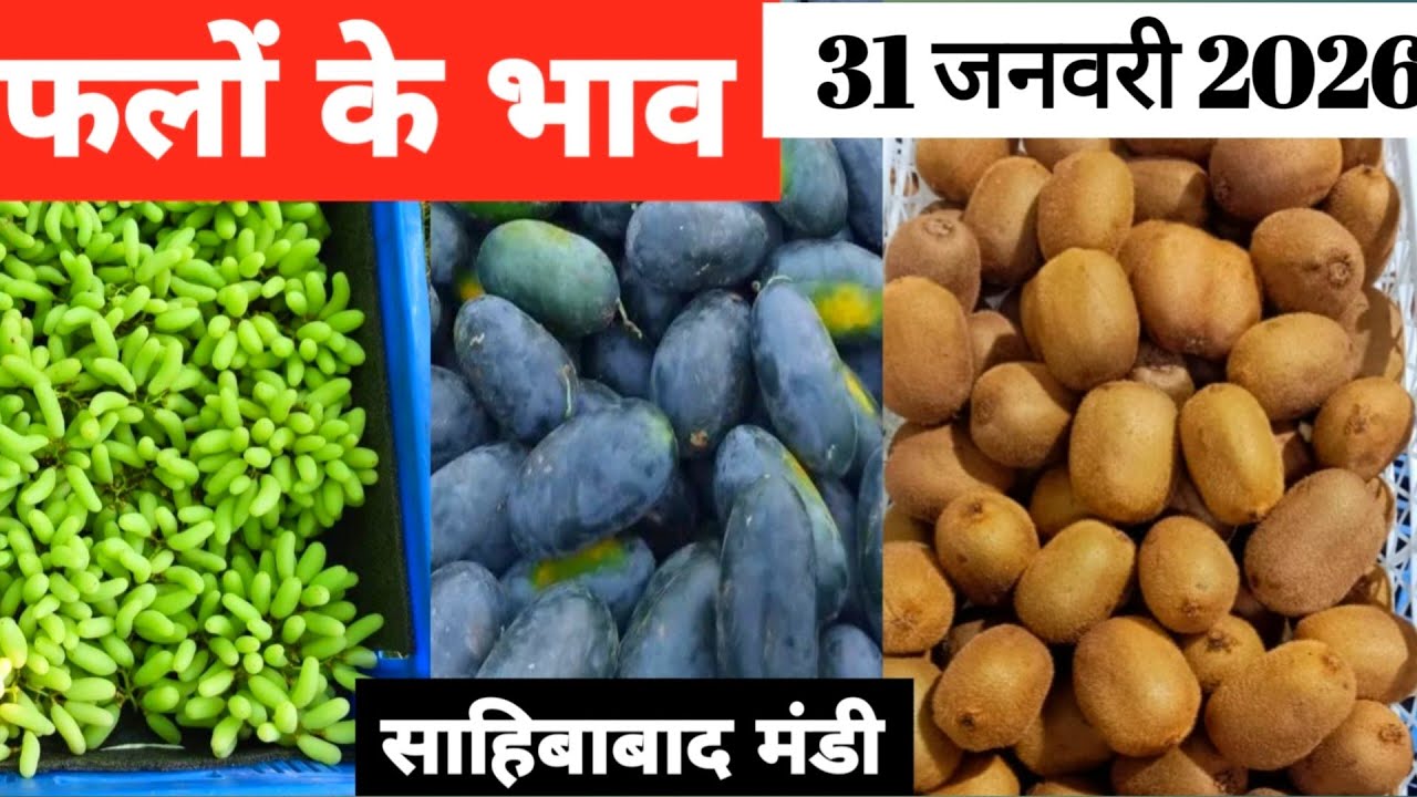 31 January 2026 🍉🍎फलों के थोक भाव साहिबाबाद मंडी | today fruits rates #fruits #delhimandi #fruit fru