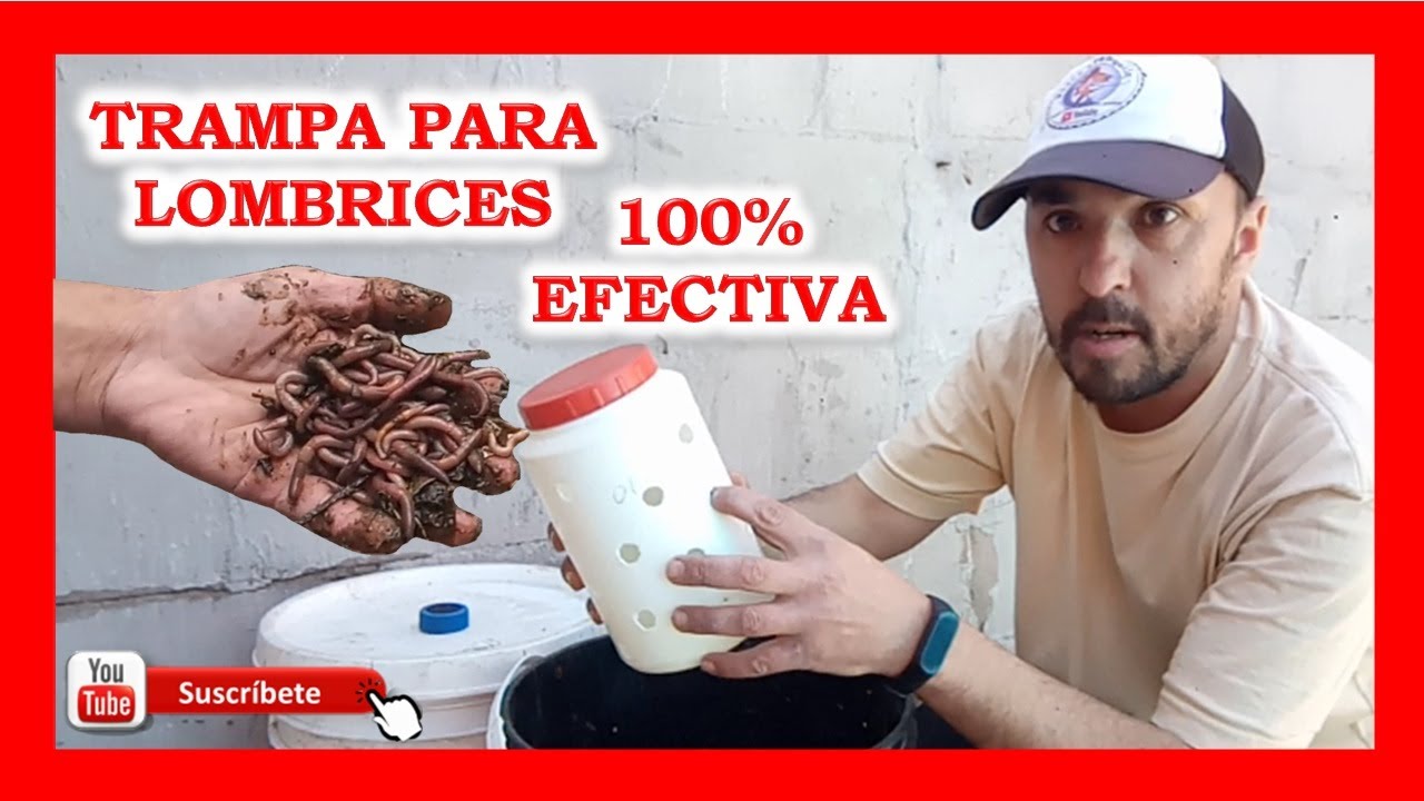 Trampa para lombrices, Facil de preparar y sin esfuerso atrapa tus lombrices 100% EFECTIVO!!!