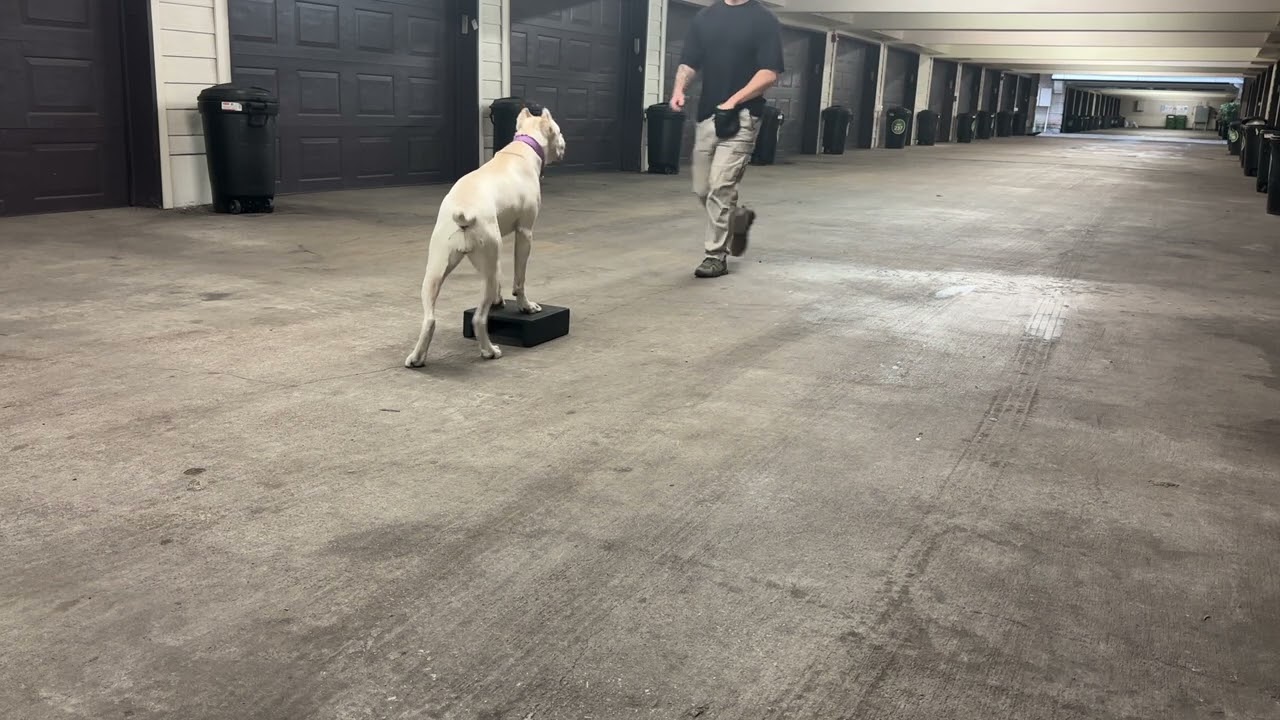 There/Go 1.1 (COP & Heeling)