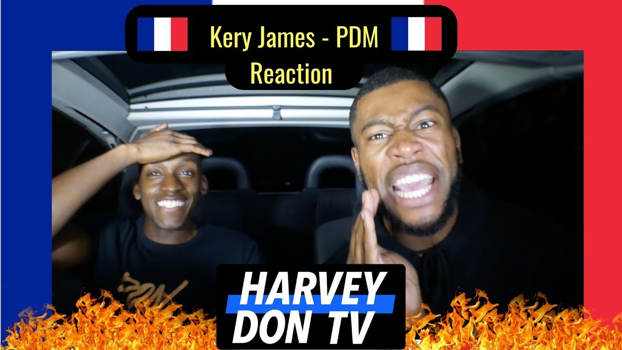 Kery James - PDM feat. Kalash Criminel Reaction [English Translation] HarveyDonTV 