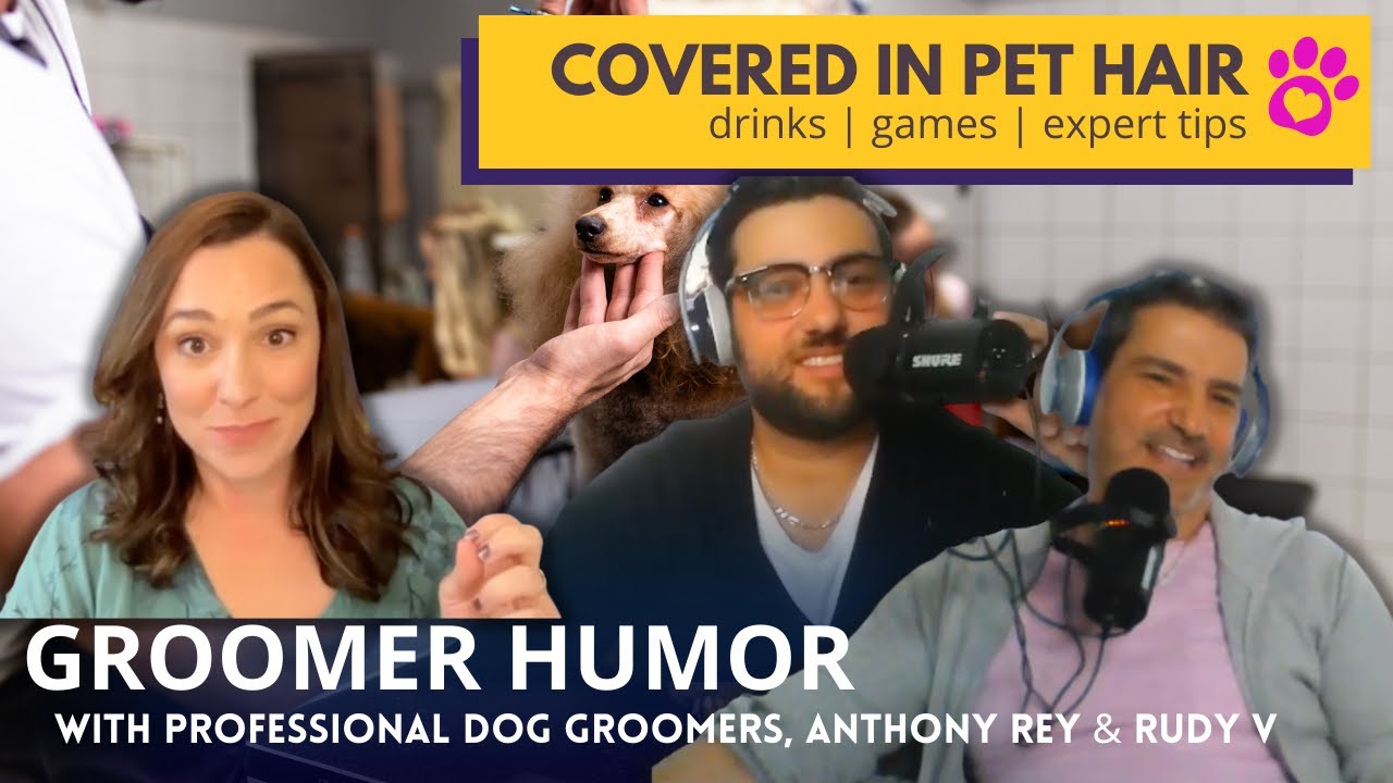 Dog Groomers by Day, Midnight Show Comics by Night | Groomer Humor