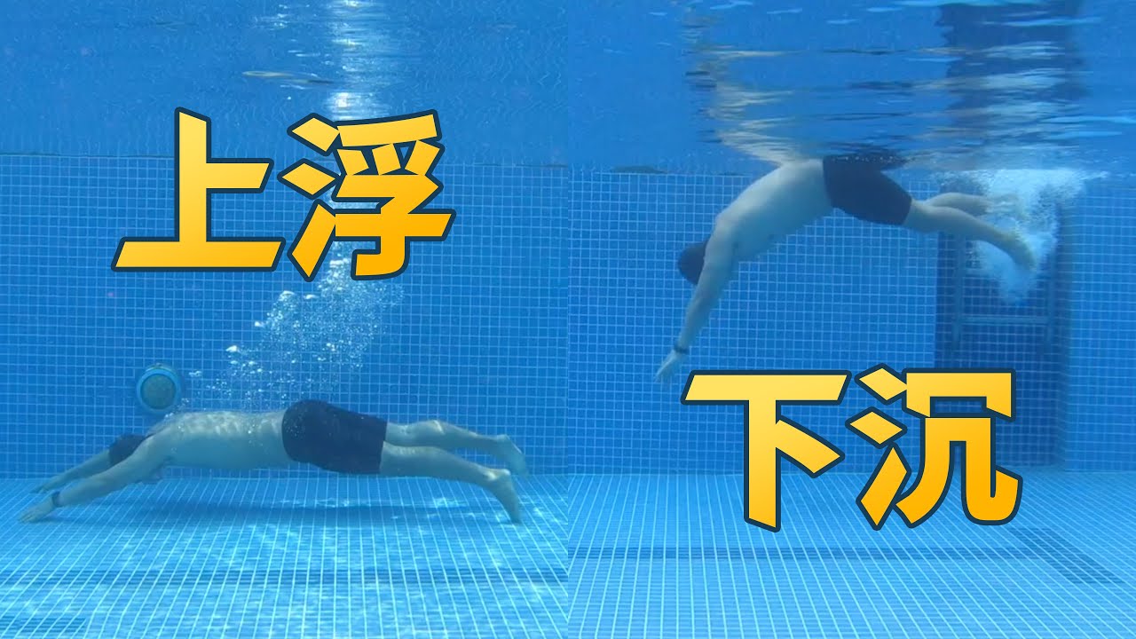 在泳池怎样优雅的下潜和上浮？｜泳池老油条5｜梦觉教游泳