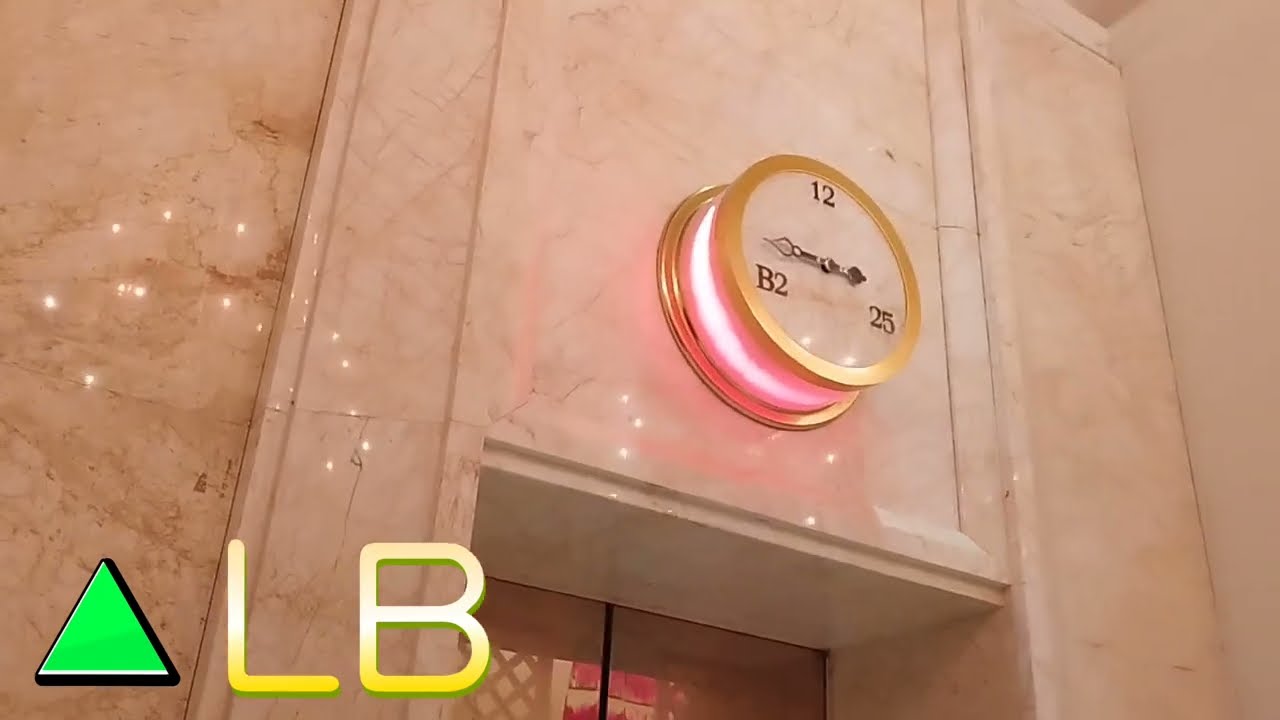 林酒店(高樓層專用) - 奧的斯電梯(右/透明)