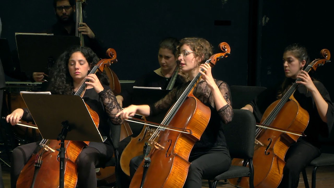 Haydn: Cello concerto no. 2