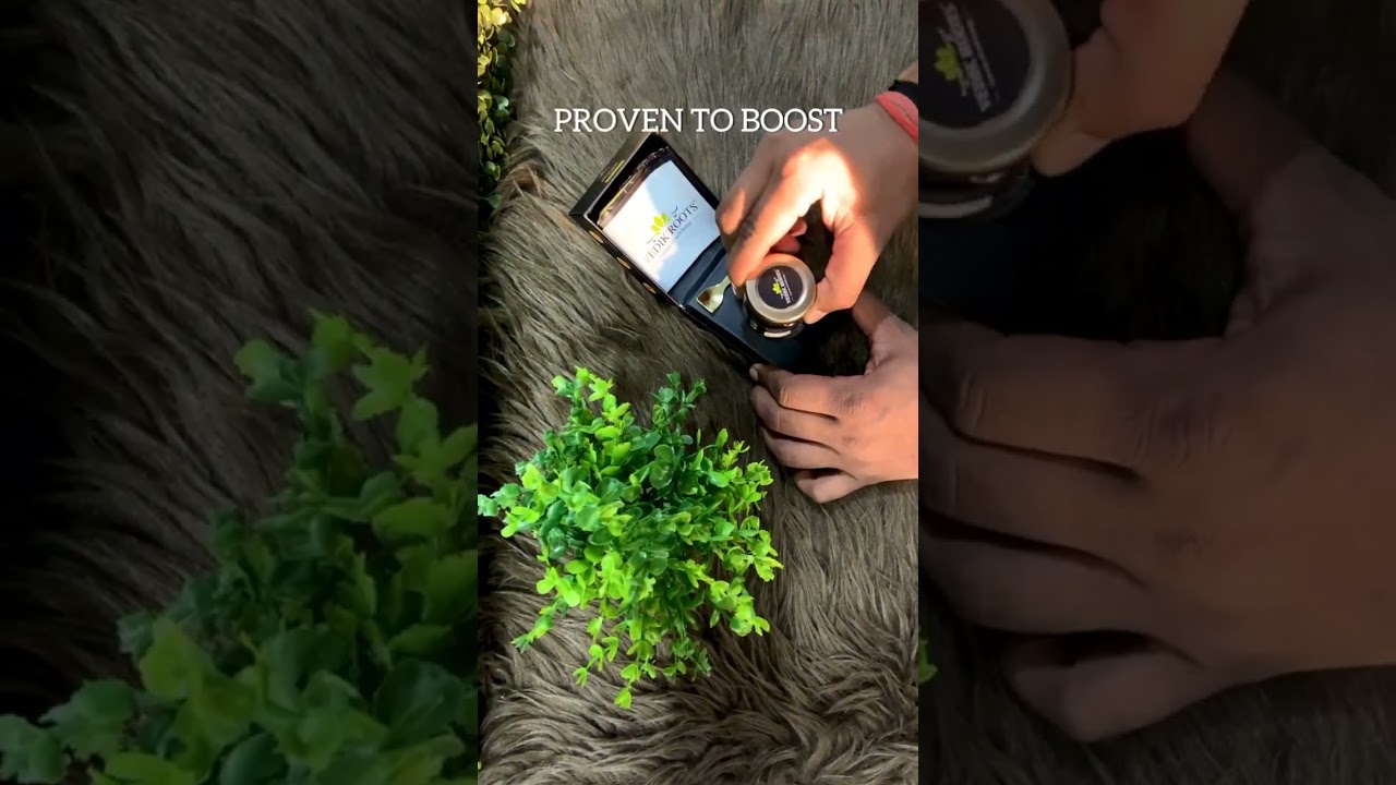 Pure Himalayan Shilajit Resin | Rich Fulvic Shilajit Herbal Extract Absolute from Himalaya