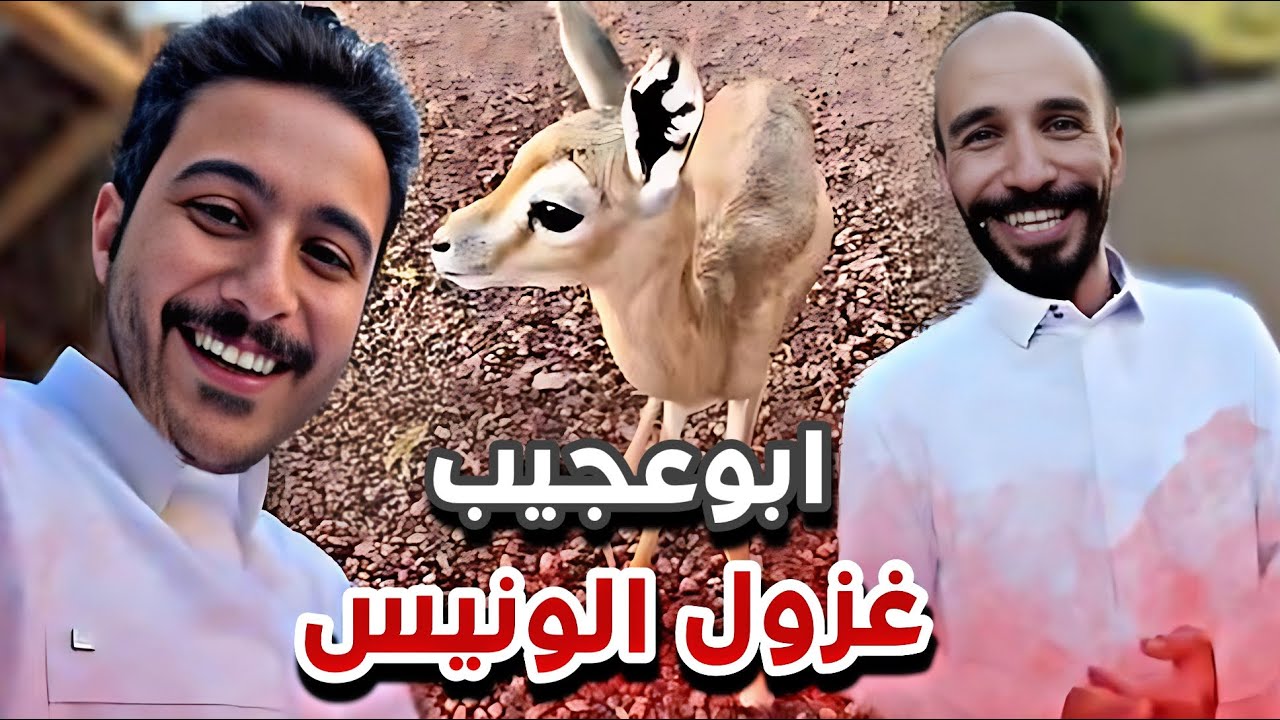 ابوعجيب و غزول 😍🦌سنابات ابوحصه وابوعجيب