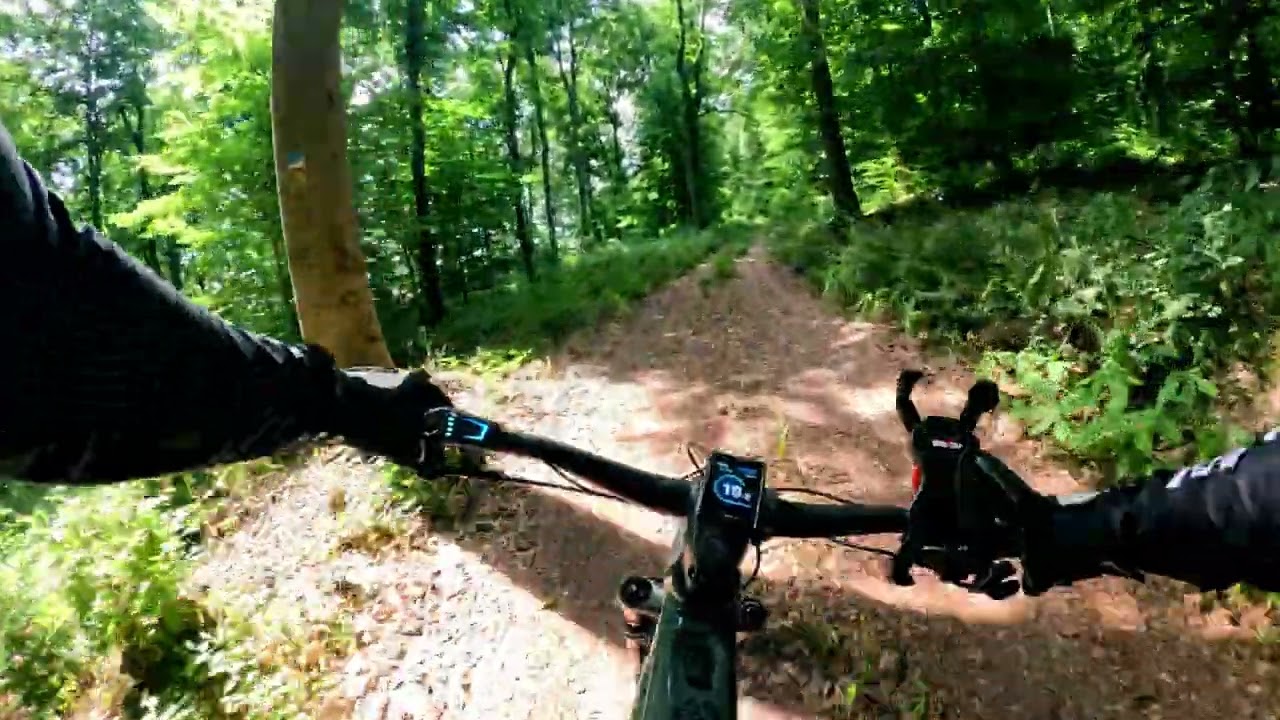 E-MTB Adventure: Riding the Focus Thron² at Donnersberg, Germany #1