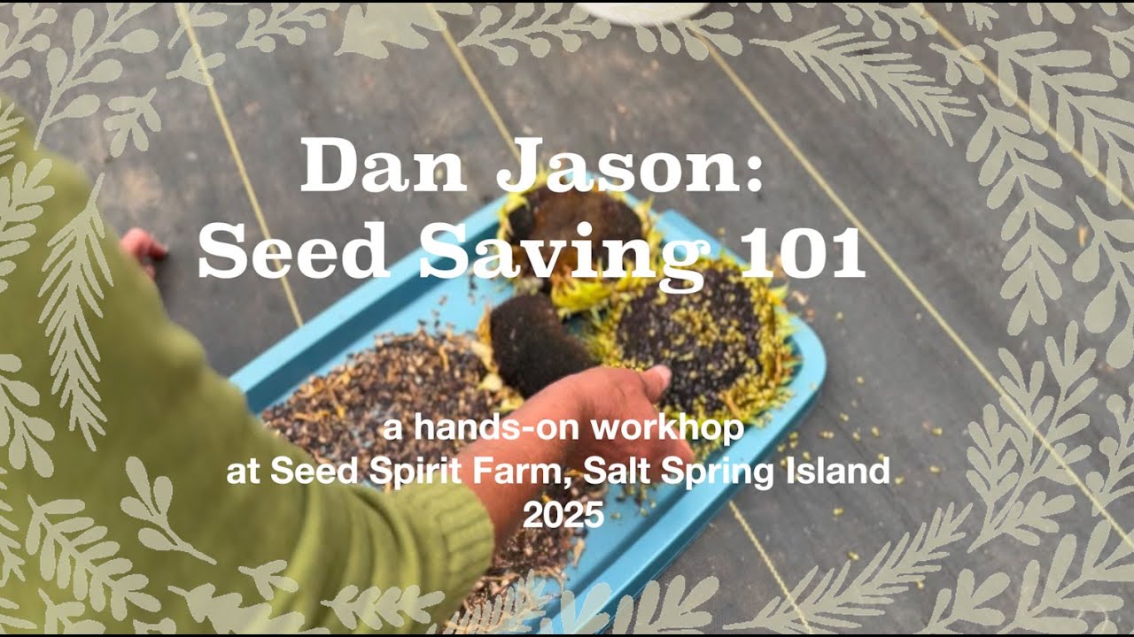 DanJason