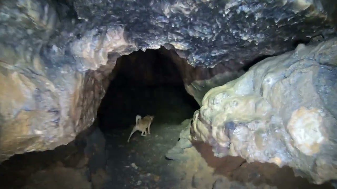 Ausflugsziel:   Wolfsschlucht   Schillerhöhle   Ruine Hohenwittlingen, bei Bad Urach