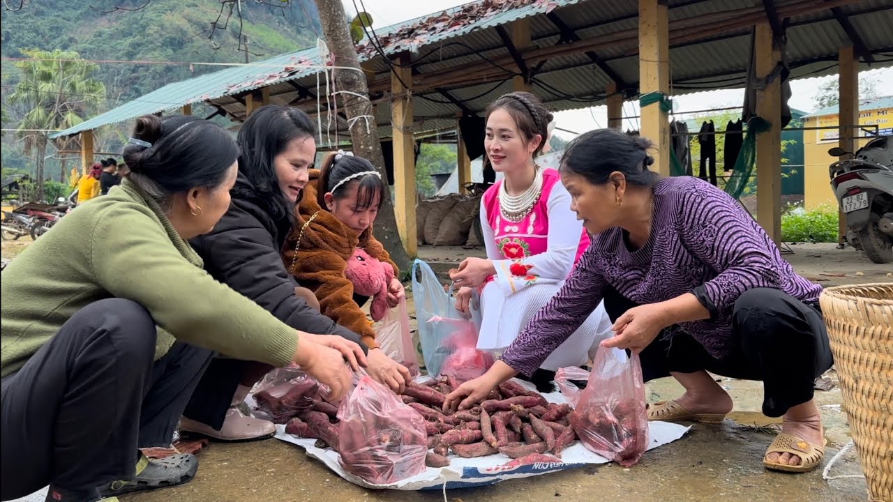 Harvesting Sweet Potatoes, to the market to sell and buy seeds to plant, king kong amazon