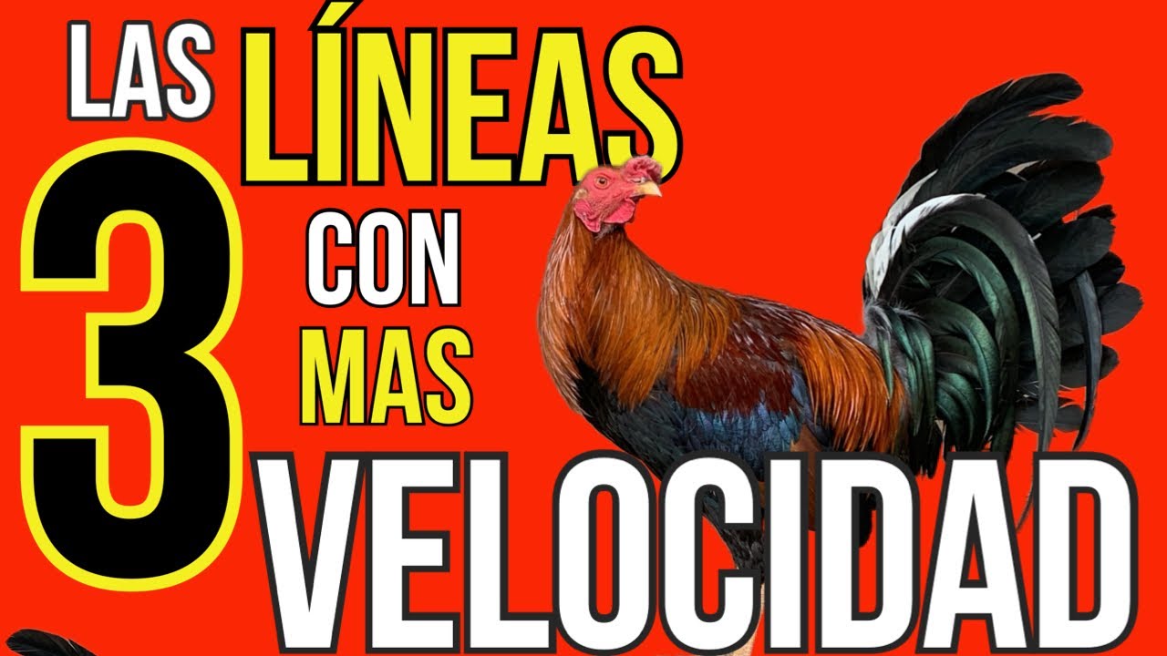 LAS 3 LINEAS DE AVES DE MAS VELOCIDAD???