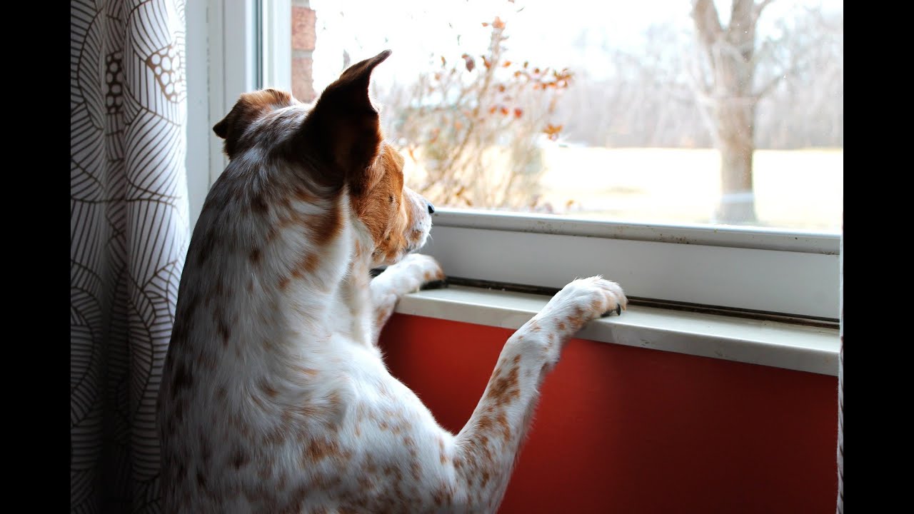 Pick a card-will they be back?