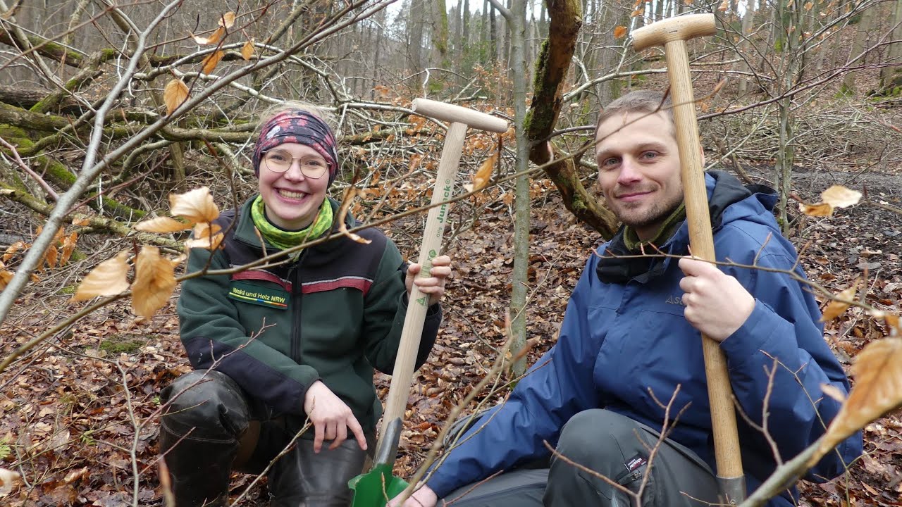 Wildlinge für einen starken Zukunftswald
