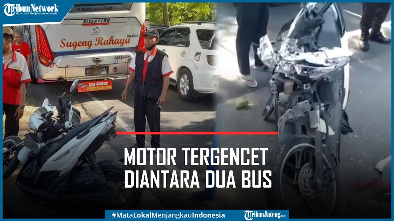 Bus Sugeng Rahayu Tabrak Bus Mira, Motor Tergencet di Tengahnya