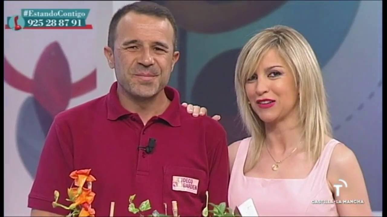 Plantas trepadoras, ¿cómo cuidarlas?