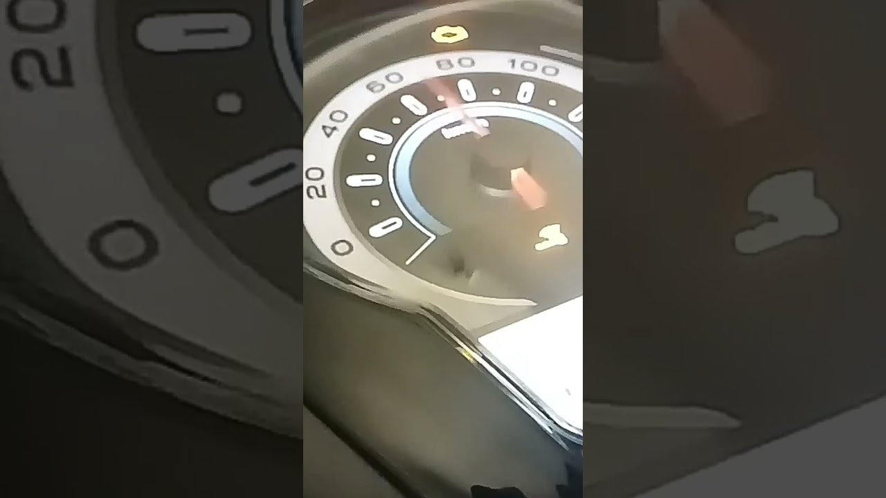 Scoopy