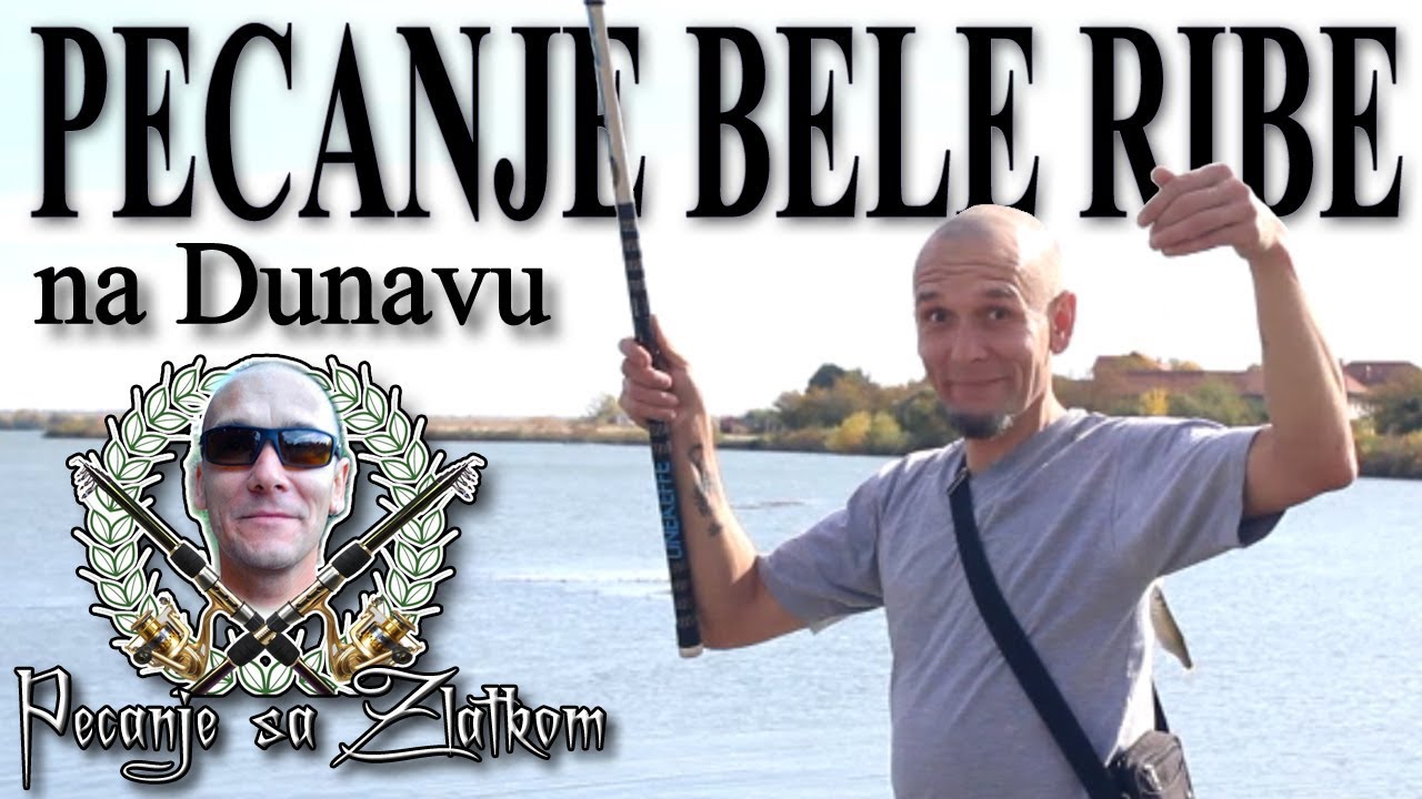 Pecanje bele ribe na Dunavu - pecanje karaša, belice, šarana, bodorke, crvenperke, deverike
