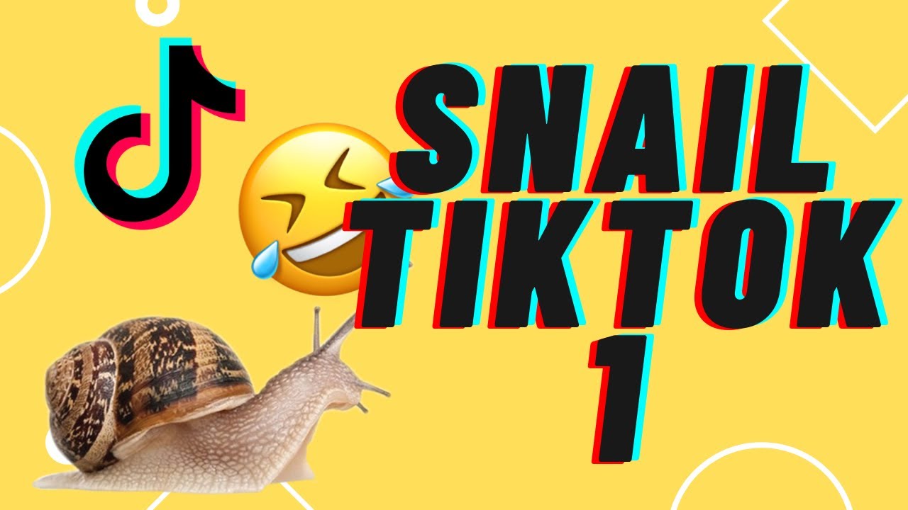 Funny TikTok Compilation: Snail Edition