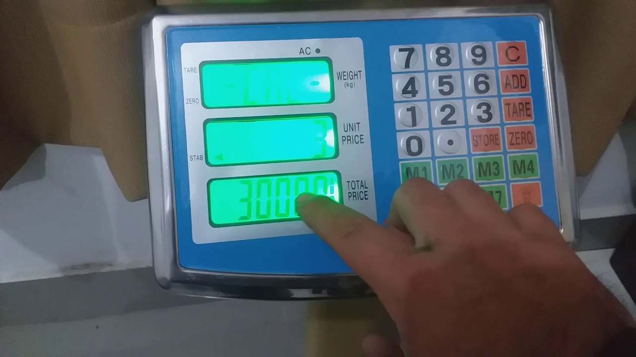 Calibración de balanza hipocampo 60 kilos