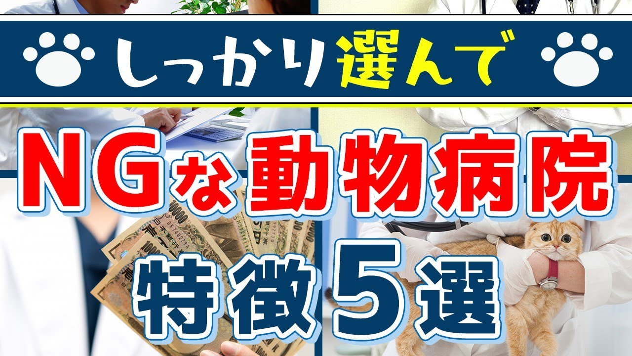 【良い動物病院選びのポイントを解説！】アニぴたる代表の隅蔵社長（動物病院マニア）に気を付けた方が良い病院の特徴を聞いてみた！