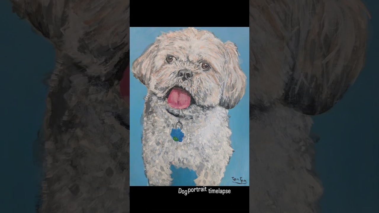 Pet Portrait Timelapse #1~9